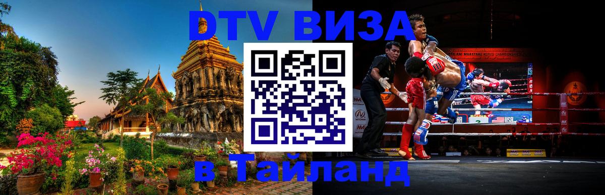 Оформление DTV визы под ключ: стоимость и тарифы, только загранпаспорт - Нижнекамск  18.11.2025 